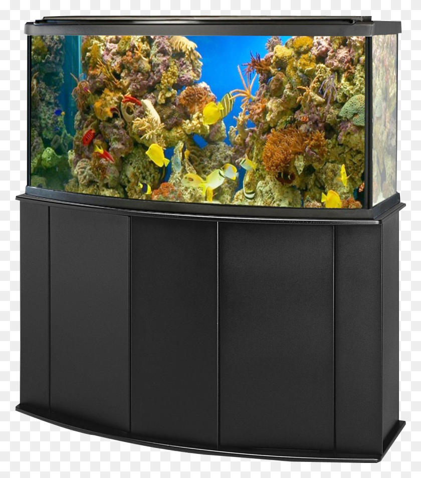1117x1279 Fish Tank Coral Clipart Aquarium Fish Tank, Water, Sea, Outdoors HD PNG Download
