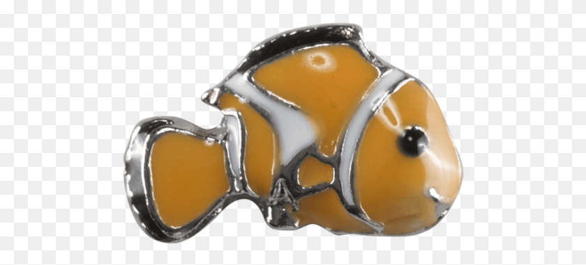 492x321 Fish Yellow Clownfish Amber, Accessories, Accessory, Helmet HD PNG Download
