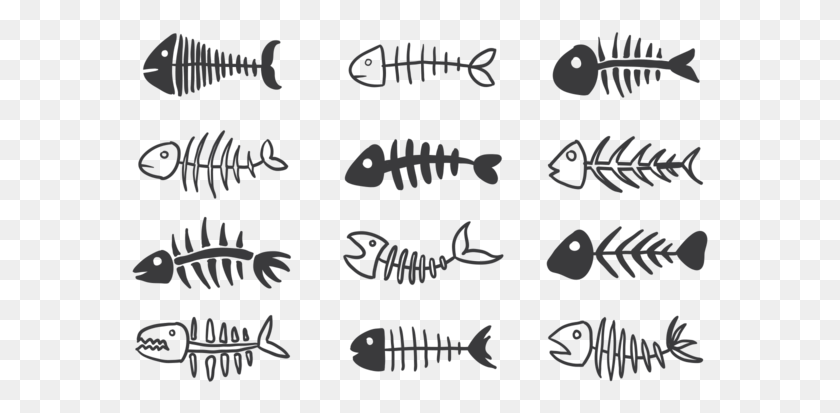 577x353 Fishbone Icons Vector Fish Bone Free Vector, Poster, Advertisement, Text HD PNG Download