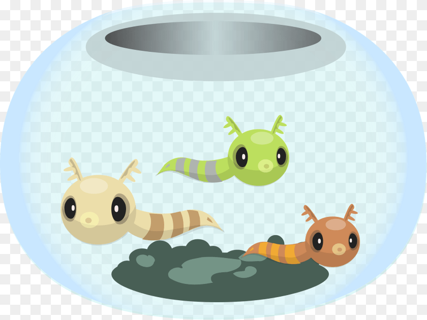 1920x1440 Fishbowl Animal, Gecko, Lizard, Reptile Clipart PNG