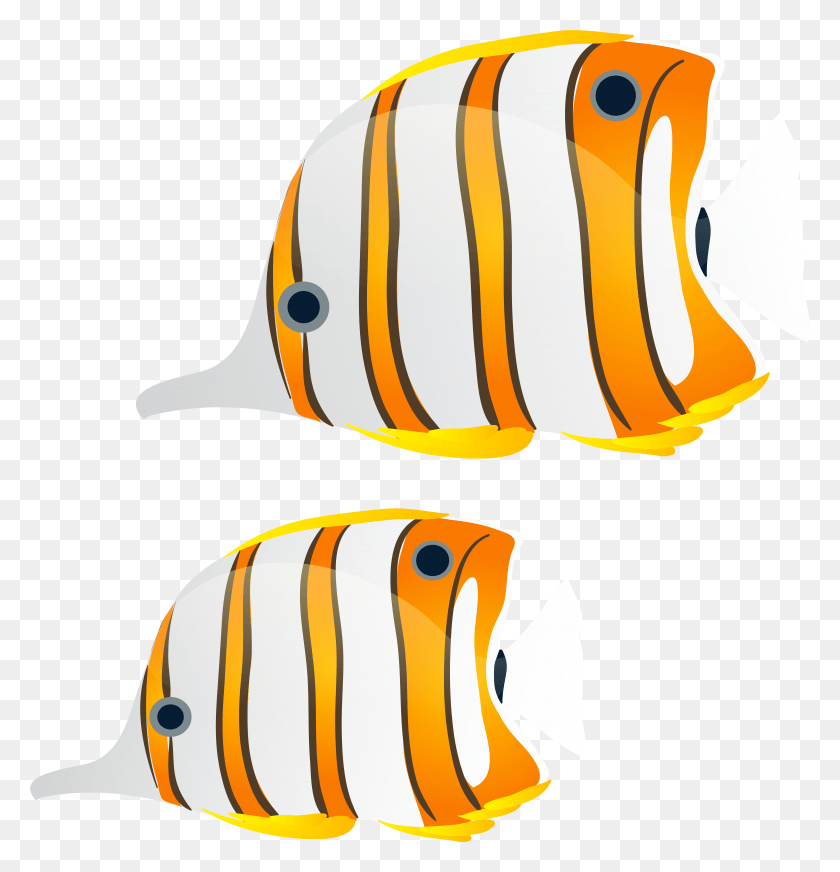 7351x7662 Fishes, Fish, Animal, Angelfish HD PNG Download