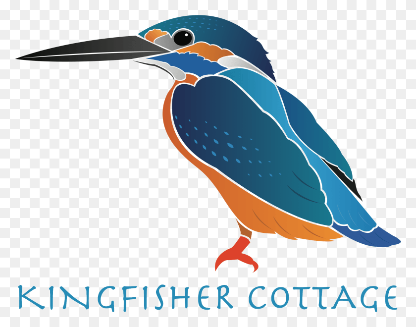 1997x1538 La Pesca En El Lago Con Alojamiento En Boston Lincolnshire Common Kingfisher, Jay, Bird, Animal Hd Png