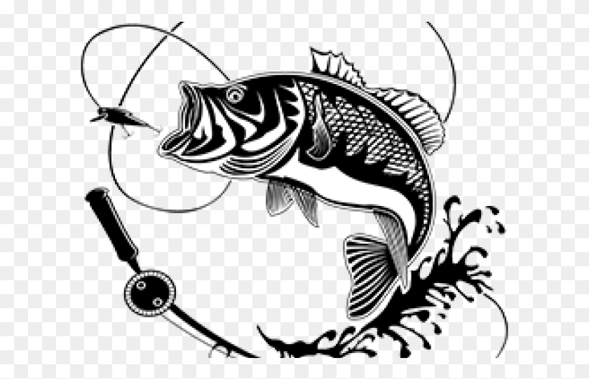 611x481 Fishing Rod Clipart Fishing Accessory Wall Decal Fish, Animal, Sea Life HD PNG Download