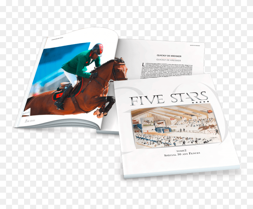 800x651 Five Stars Magazine Tome Stallion, Horse, Mammal, Animal HD PNG Download