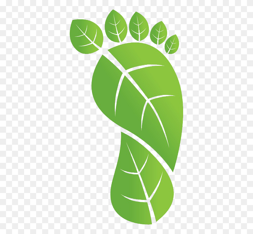 379x716 Cinco Consejos Para Reducir El Carbono En La Huella Ecológica Clipart, Planta, Verde, Hoja Hd Png