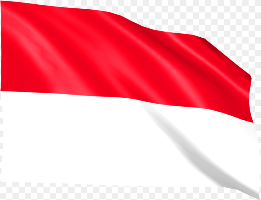 Flag Transparent PNG