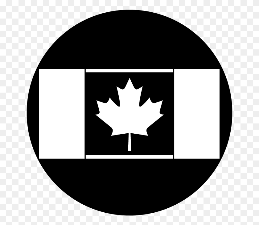 669x669 Flag Canada Canada On The Eh Team, Leaf, Plant, Maple Leaf HD PNG Download