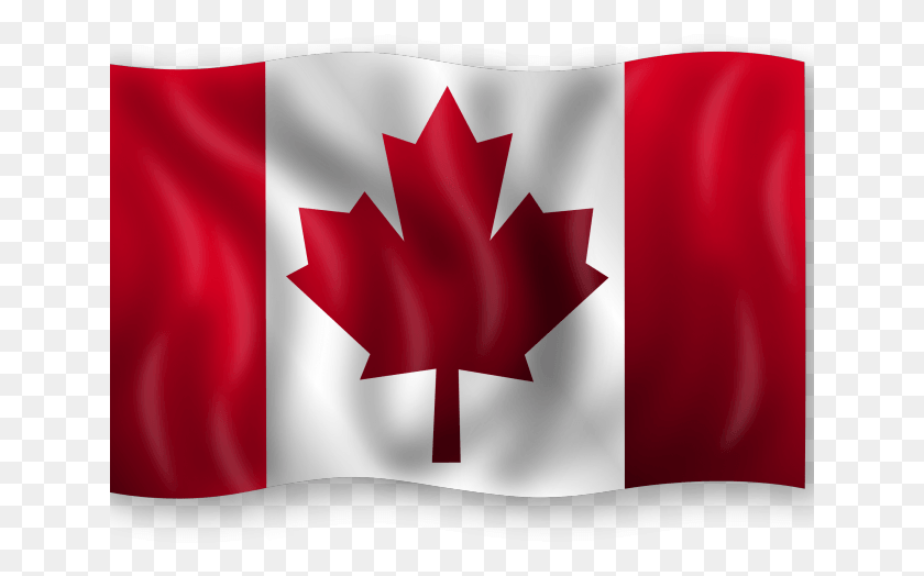 641x464 Flag Clipart Canada Happy Canada Day, Leaf, Plant, Symbol HD PNG Download