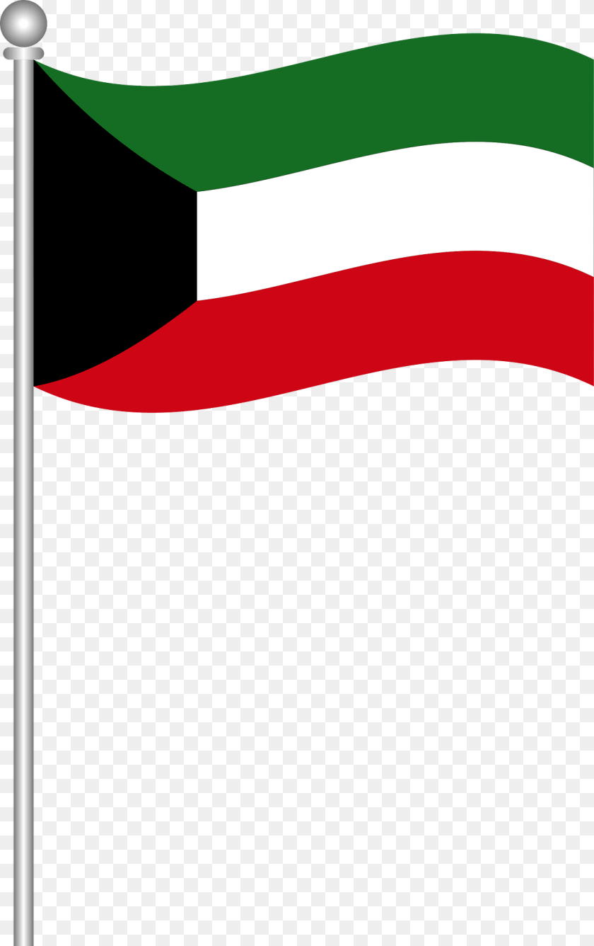 1207x1920 Flag Of Pakistan Clipart, Animal, Fish, Sea Life, Shark Sticker PNG