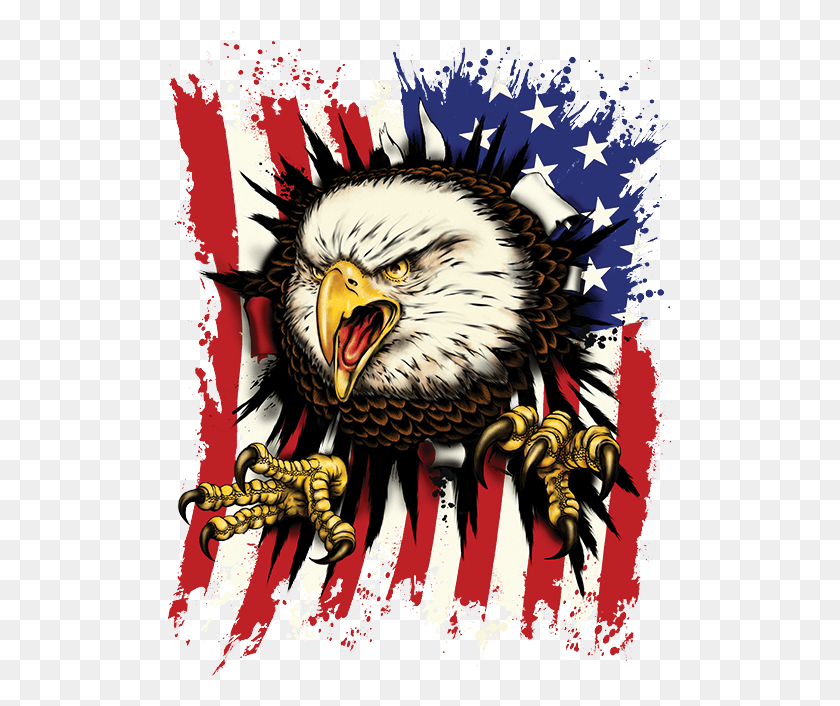 506x646 Png Флаг Соединенных Штатов Америки, Орел, Птица, Животное Hd Png Скачать