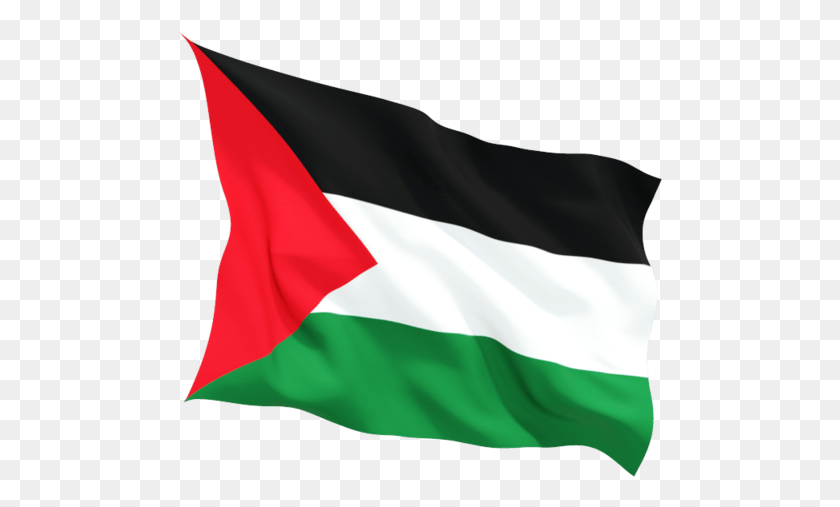 486x447 Bandera De Palestina Unida Png / Bandera De Palestina Png
