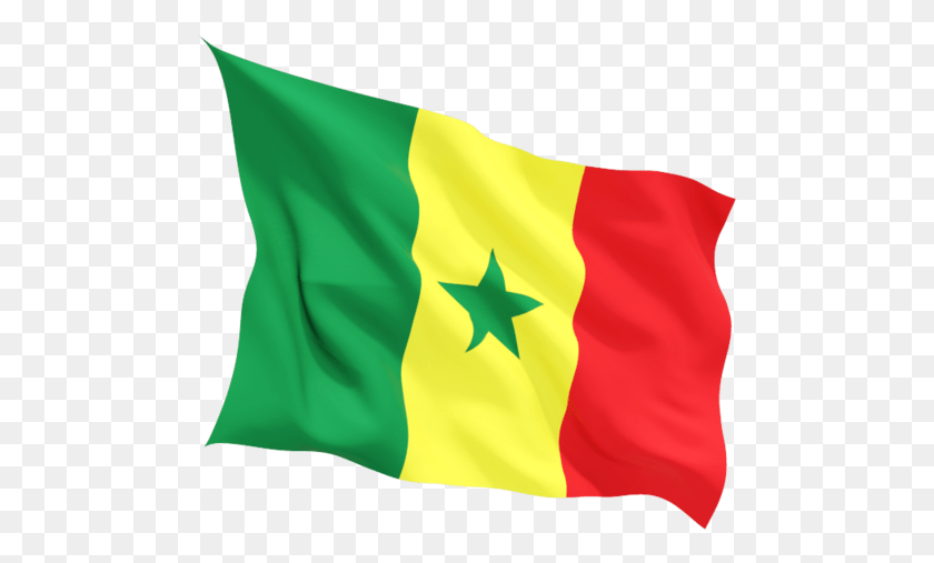 486x447 Flag Senegal Viscolloids Flag, Symbol, American Flag, Person HD PNG Download