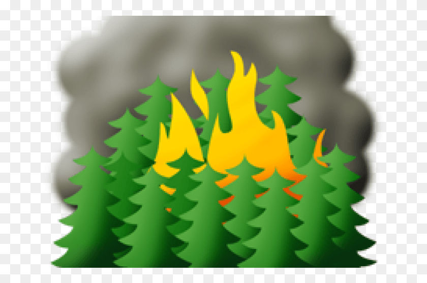 672x497 Flames Clipart Wildland Fire Wild Fires Clip Art, Tree, Plant, Ornament HD PNG Download
