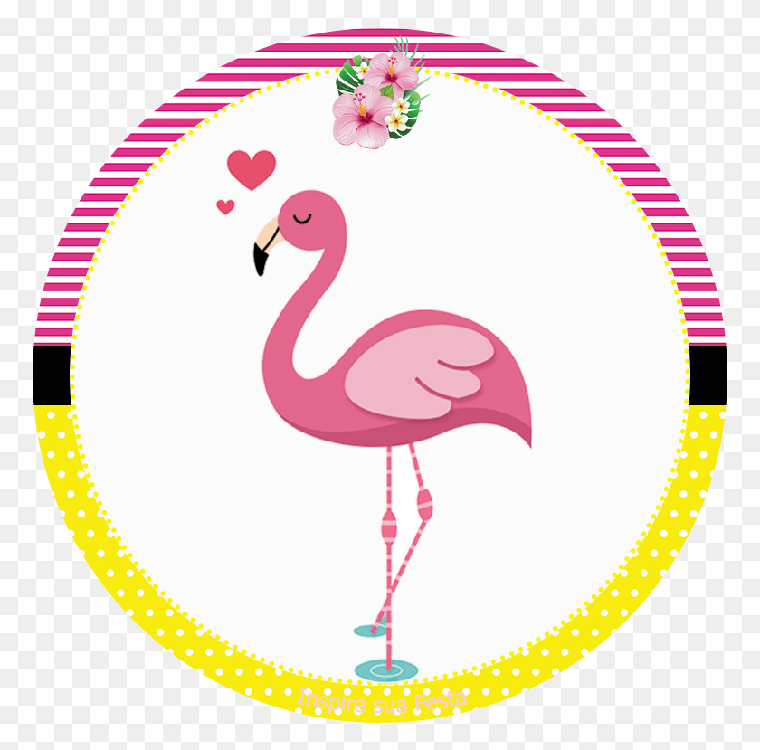 769x769 Flamingo, Bird, Animal HD PNG Download