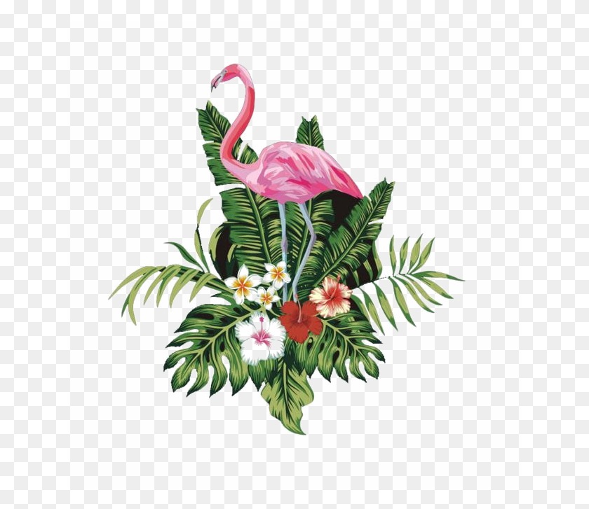 650x667 Descargar Png Flamingo Imagen De Alta Calidad Flamingo, Gráficos, Diseño Floral Hd Png