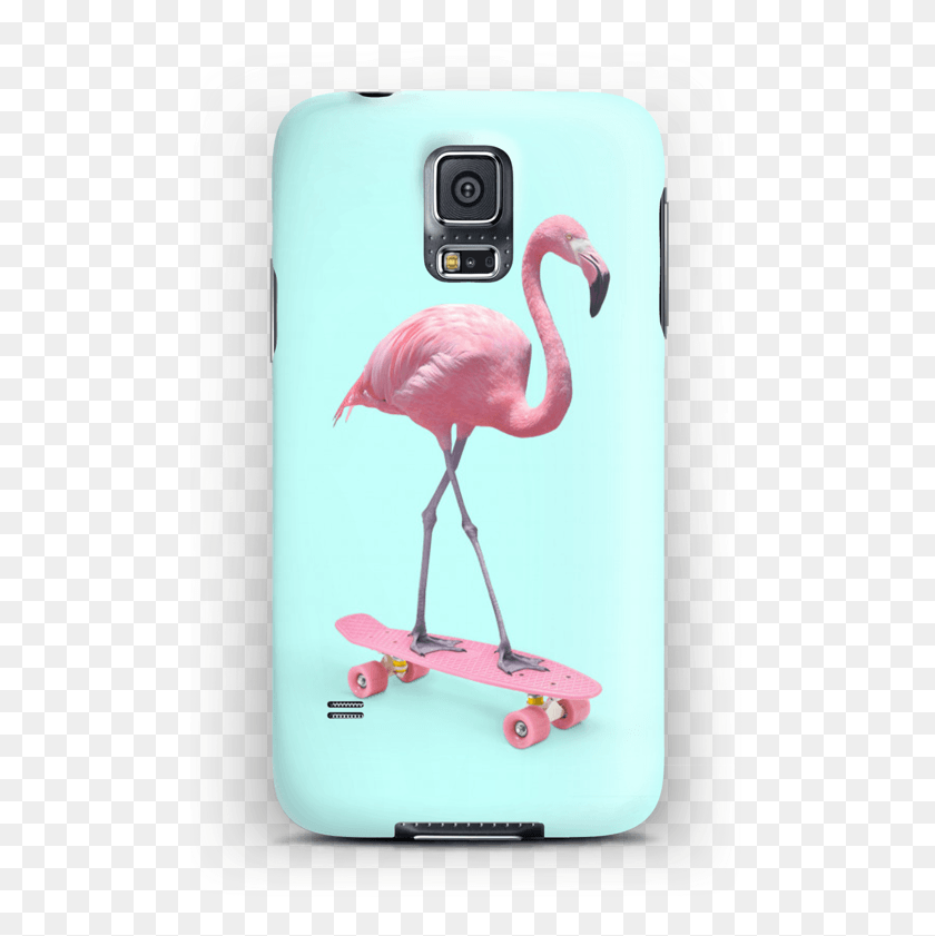 500x781 Flamingo On Skateboard Case Galaxy S5 Skate Flamingo, Bird, Animal Hd Png