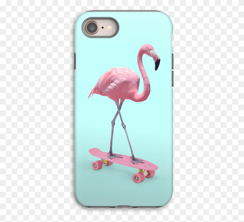 365x704 Descargar Png Flamingo On Skateboard Case Iphone 8 Tough Paul Fuentes, Pájaro, Animal, Pico Hd Png