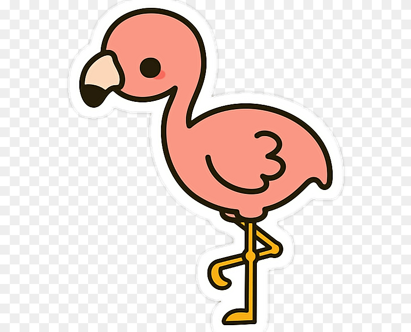 708x678 Flamingo Pink Aesthetic, Animal, Bird Clipart PNG