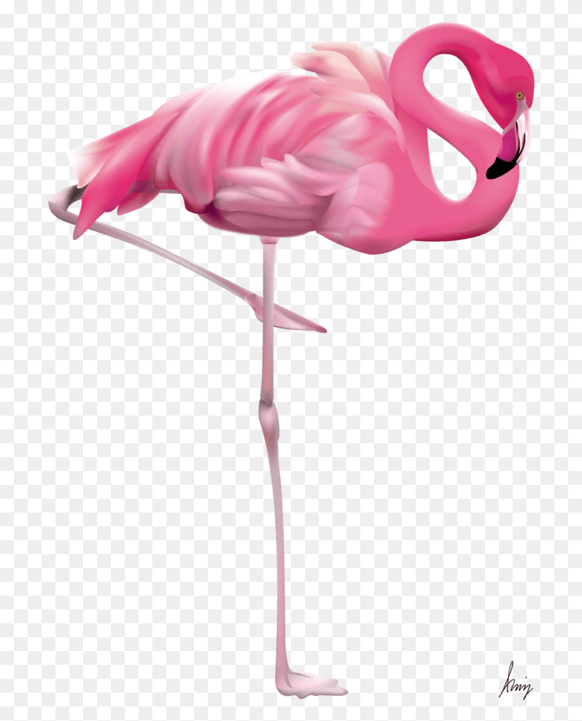 706x981 Flamingo Transparent Flamingo, Bird, Animal, Flock HD PNG Download