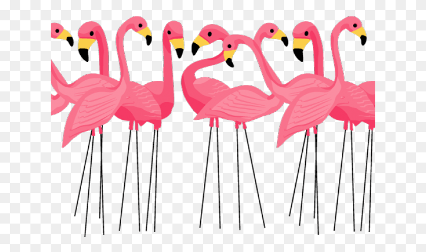 641x436 Flamingo Transparent Images Clip Art Flamingo Transparent Background, Bird, Animal HD PNG Download