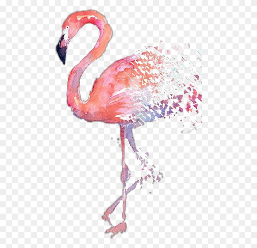 480x753 Фламинго Акварельная Живопись Фламинго Акварельный Плакат, Птица, Животное, Клюв Png Скачать