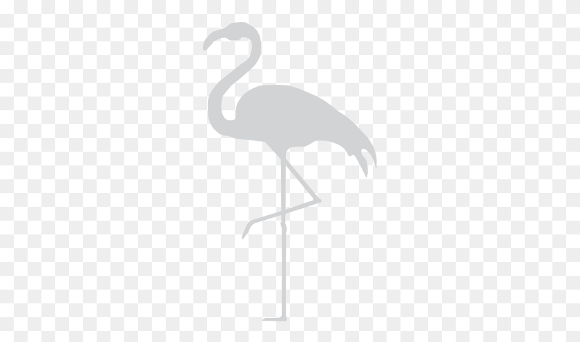 253x436 Flamingo Width810ampheight456 Greater Flamingo, Animal, Bird, Cross HD PNG Download