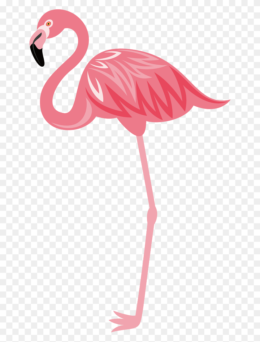 650x1043 Flamingos, Flamingo, Bird, Animal HD PNG Download