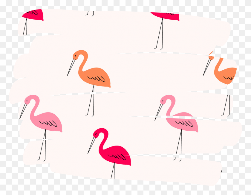 1753x1338 Flamingos Garabato Rosa Naranja Rojo Lindo Remolino Superposiciones Renders Para Edits, Bird, Animal, Flamingo Hd Png