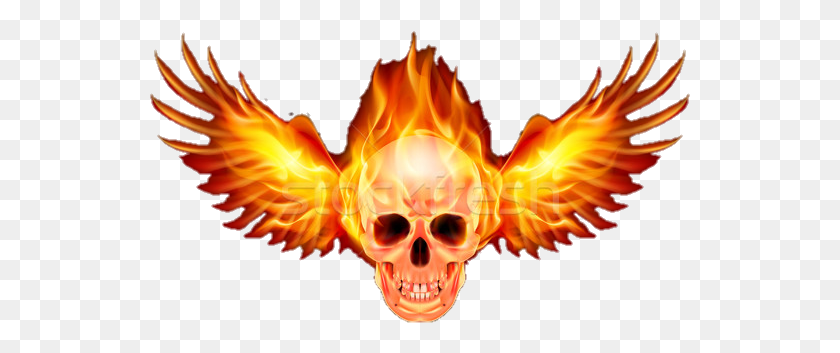 541x293 Flamingskull Skull Skullhead Flames Fire Fireskull Yanan Kafatas, Bonfire, Flame, Animal HD PNG Download