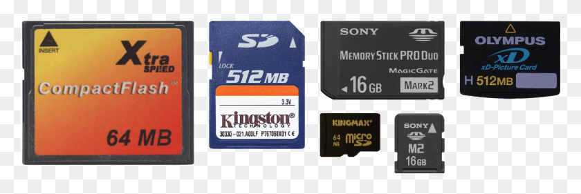 1280x363 Flash Memory Cards Size Comparison Memory Card Sizes, Text, Label, Computer HD PNG Download