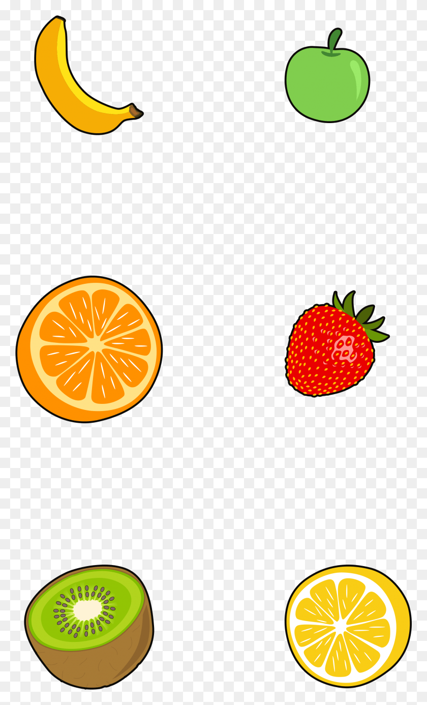 1883x3202 Flat Color Minimalistic Hand Drawn And Psd Design, Plant, Fruit, Food Descargar Hd Png
