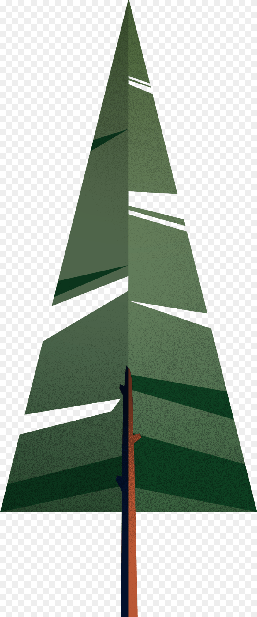 Flat Vector Evergreen Plants, Boat, Leaf, Plant, Sailboat Transparent PNG