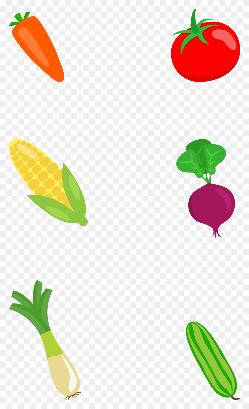 1953x3306 Плоский Овощной Цветной Рисованной И Psd Иллюстрация, Растение, Еда, Редис Hd Png Скачать