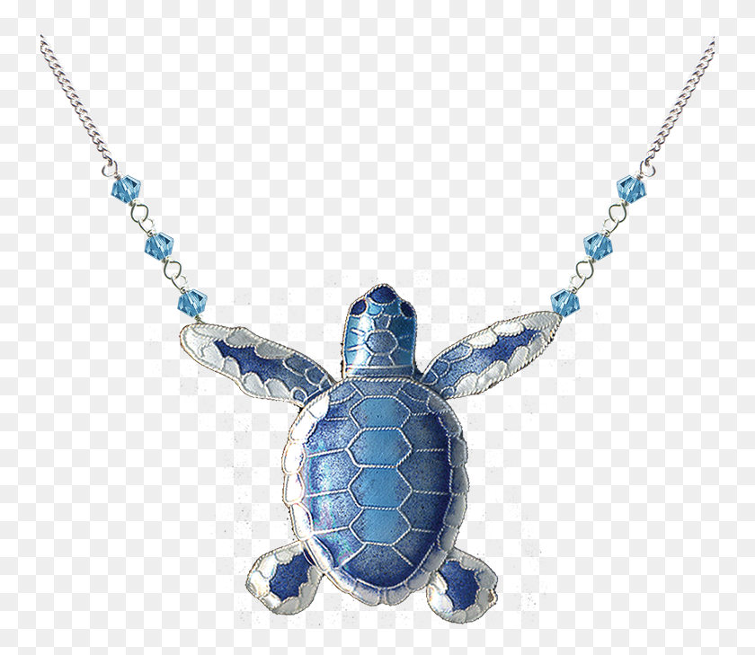 751x669 Flatback Hatchling Lg Necklace Jewellery, Sea Life, Animal, Turtle HD PNG Download
