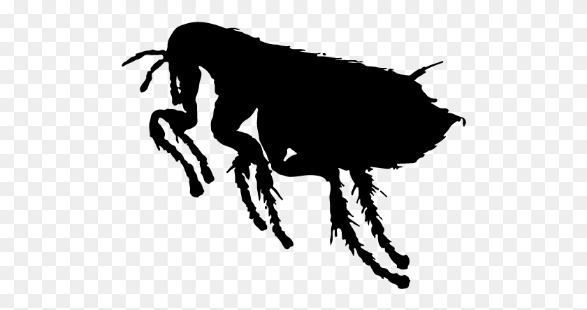494x383 Fleas Control Of Fleas, Gray, World Of Warcraft HD PNG Download