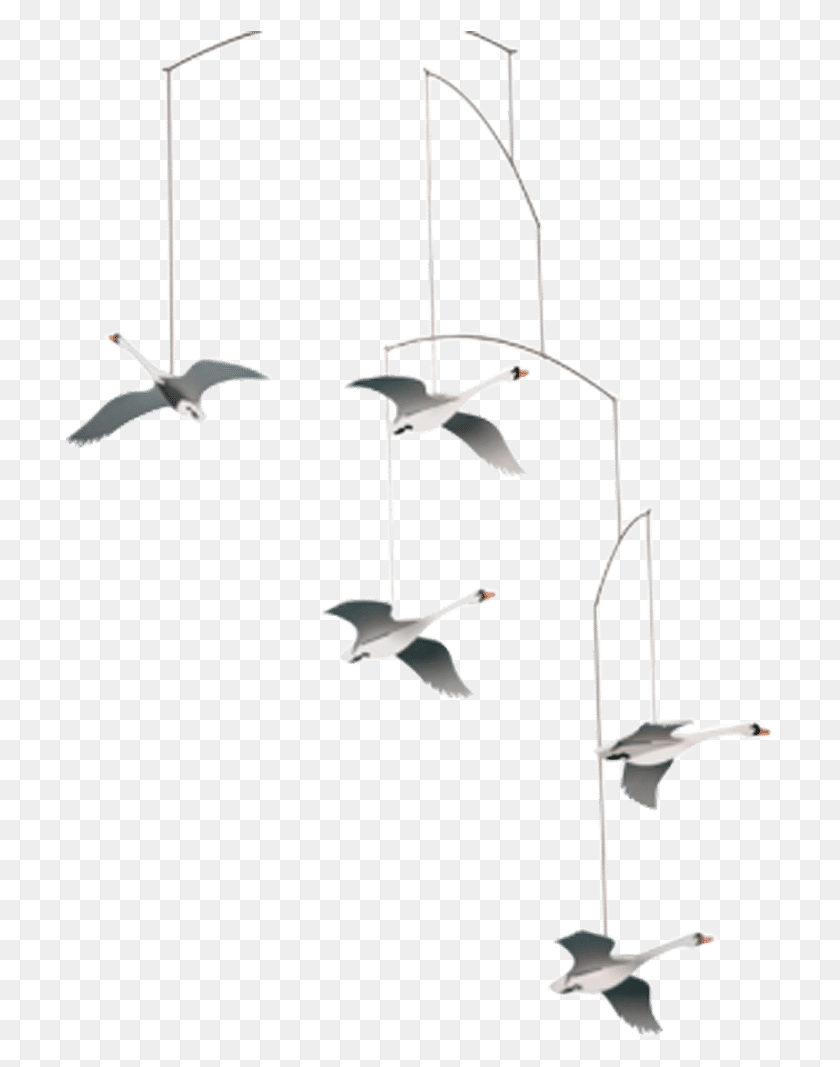 710x1007 Flensted Mobiles, Bird, Animal, Flying HD PNG Download
