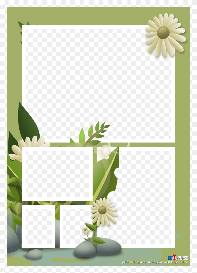 1240x1754 Fleur Daisy, Plant, Flower, Blossom HD PNG Download