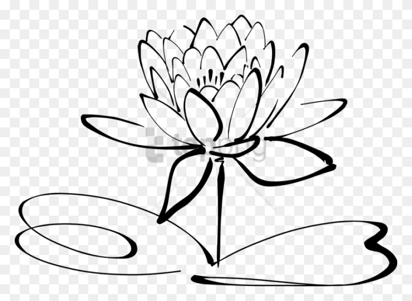 850x604 Fleur Image With Transparent Background Lotus Flower Black And White Clipart, Label, Text, Spider HD PNG Download