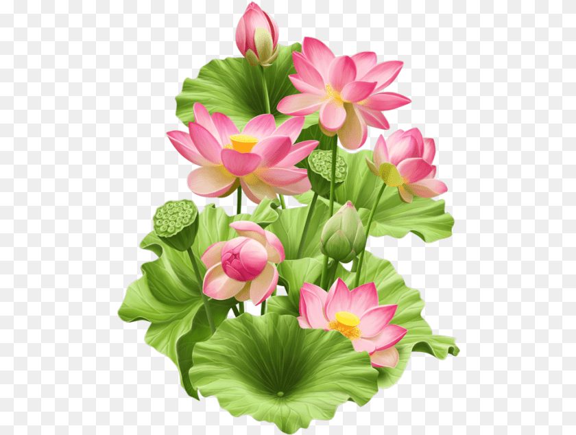 Fleurs, Flower, Plant, Flower Arrangement, Petal Clipart PNG