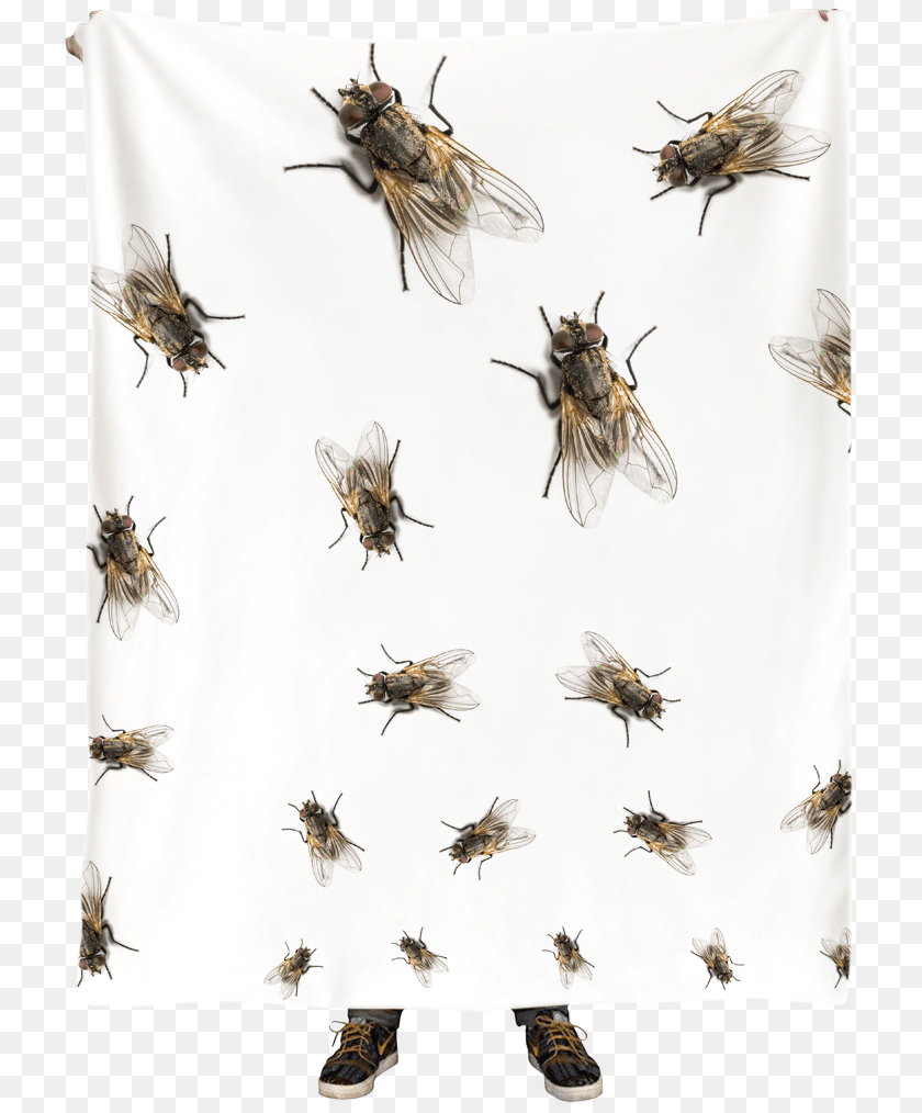 727x1014 Flies Blanket Blanket, Animal, Invertebrate, Insect, Fly PNG