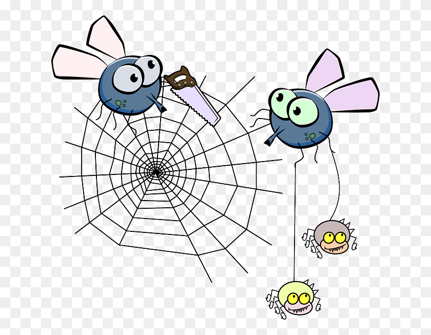 640x593 Moscas Mosquito Araña Insecto Telaraña Sierra Volar En Caca De Dibujos Animados, Tela De Araña, Invertebrado, Animal Hd Png Descargar