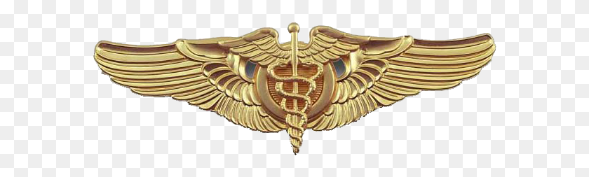 576x193 Flight Physicals Aviation Medical Examiner Logo, Symbol, Trademark, Buckle HD PNG Download