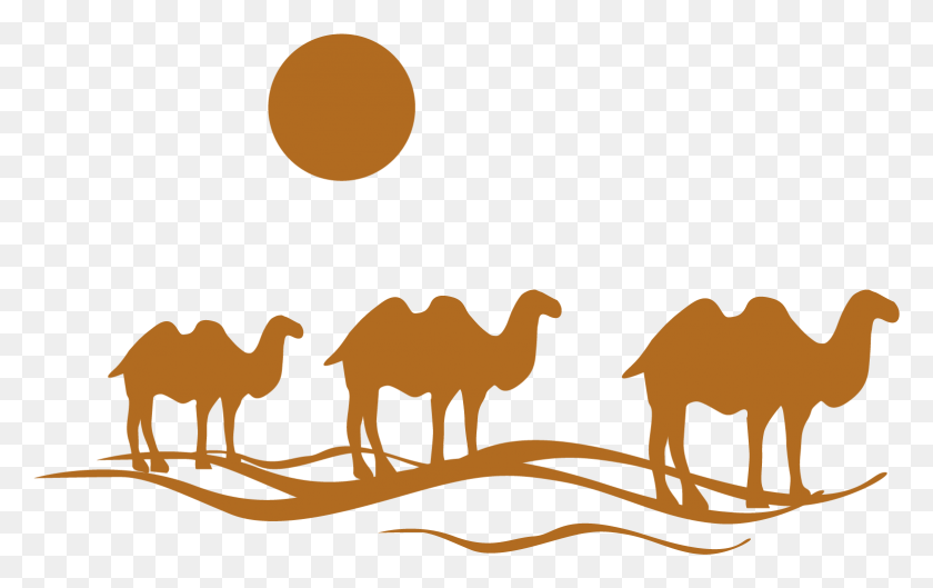 1554x936 Логотип Туристического Агента, Верблюд, Млекопитающее, Животное, Hd Png Скачать