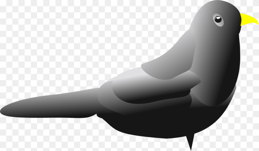 Flightless Birdwater Birdwalrus Lovebird, Animal, Bird, Blackbird, Smoke Pipe Transparent PNG