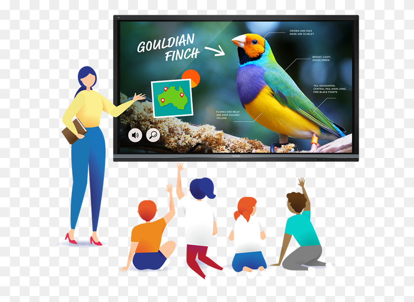 618x552 Flip Learning On Its Head With A Viewboard Digital Finch, Bird, Animal, Person HD PNG Download