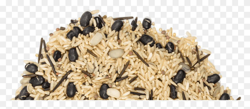 980x386 Floating Leaf Sprouted Black Beans Amp Organic Brown Brown Rice, Plant, Vegetable, Food HD PNG Download