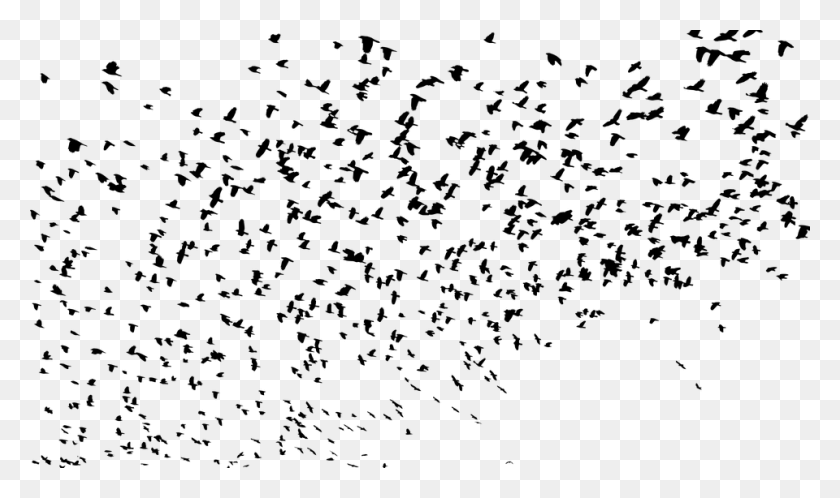 960x540 Flock Birds Animals Flying Silhouette Svg Swarm Of Birds Silhouette, Gray, World Of Warcraft HD PNG Download