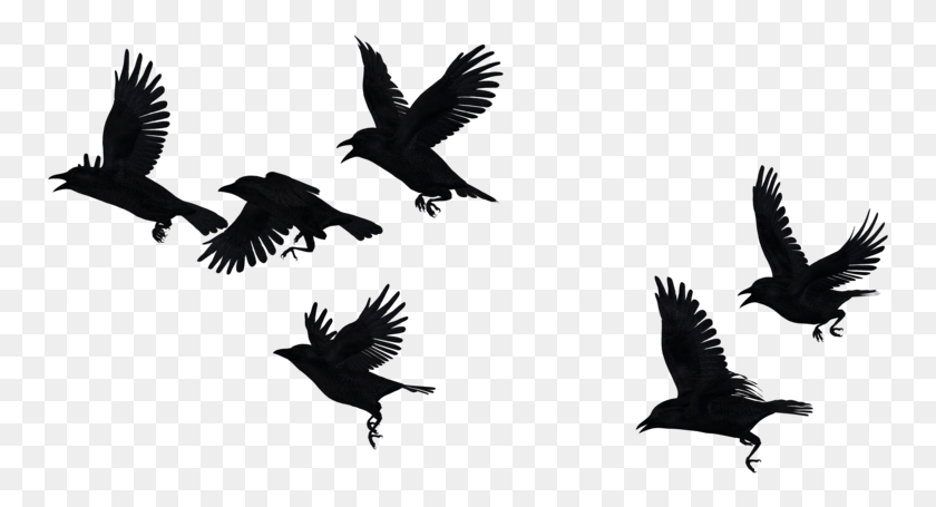 757x395 Flock Of Crows Flock Of Crows, Flying, Bird, Animal HD PNG Download