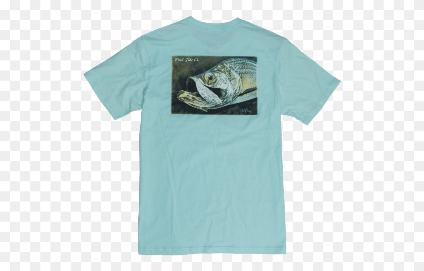 512x478 Flood Tide Co Alligator, Ropa, Camiseta, Camiseta Hd Png