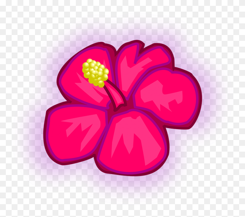 810x711 Flor Hawaiano Rose Rojo Tropicales Planta Hibisco Draw A Tropical Flower, Plant, Blossom, Hibiscus HD PNG Download